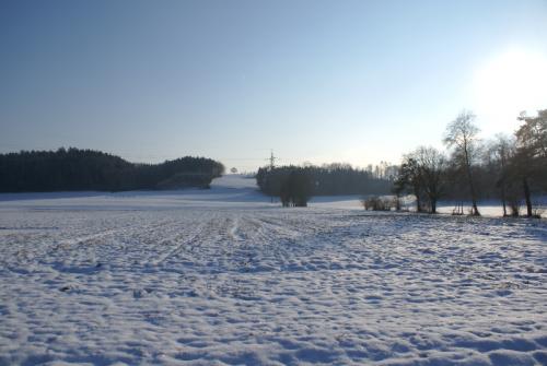 SONY DSC