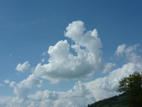 P1010576