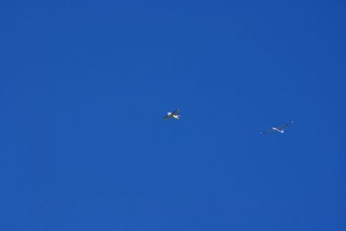 SONY DSC