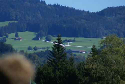 SONY DSC