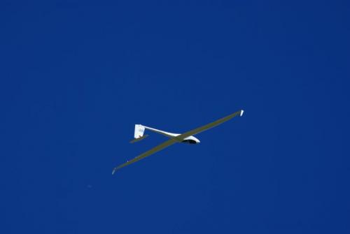 SONY DSC