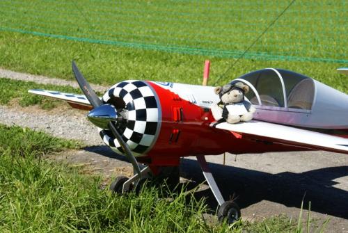 SONY DSC