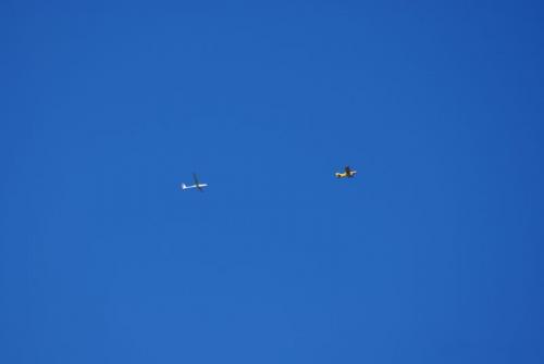 SONY DSC