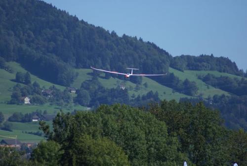 SONY DSC