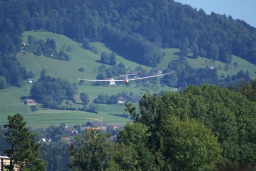 SONY DSC