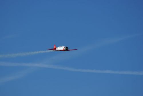SONY DSC