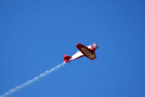 SONY DSC