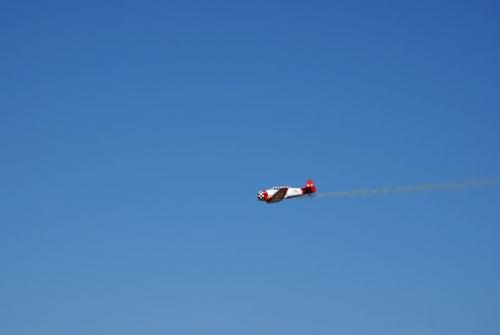 SONY DSC