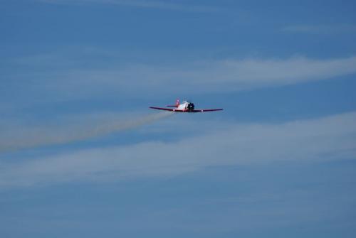 SONY DSC