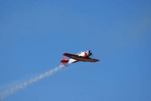 SONY DSC