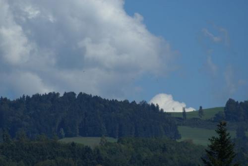 SONY DSC