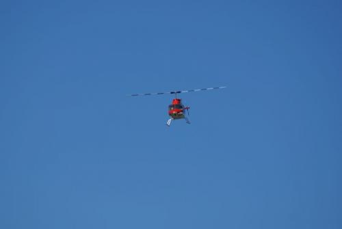 SONY DSC