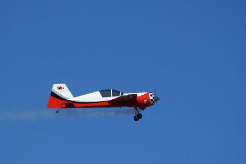SONY DSC