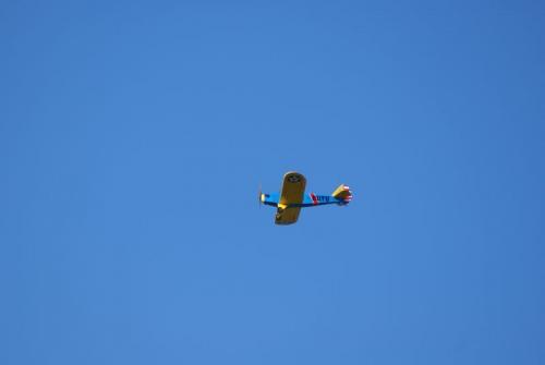SONY DSC
