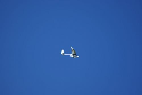 SONY DSC