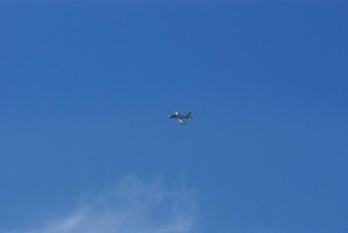 SONY DSC