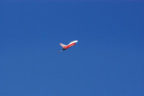 SONY DSC