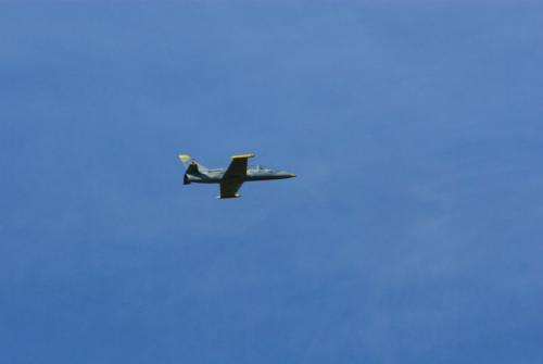 SONY DSC