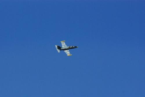 SONY DSC