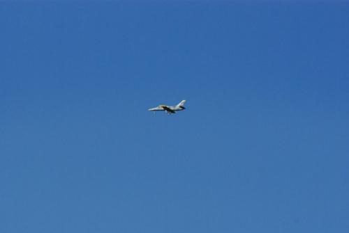 SONY DSC