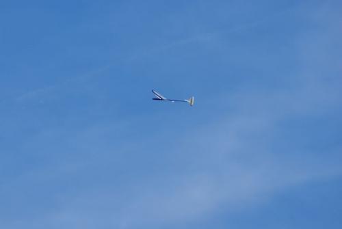 SONY DSC