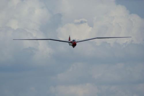 SONY DSC