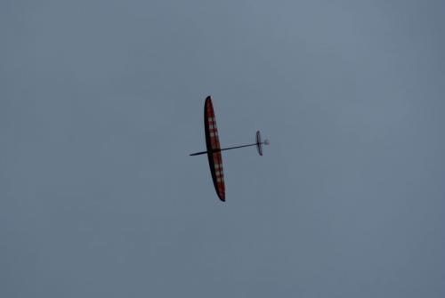 SONY DSC