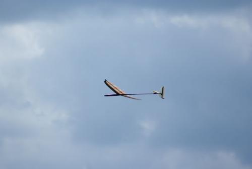 SONY DSC