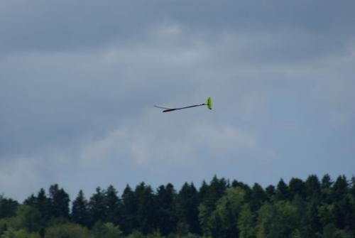 SONY DSC