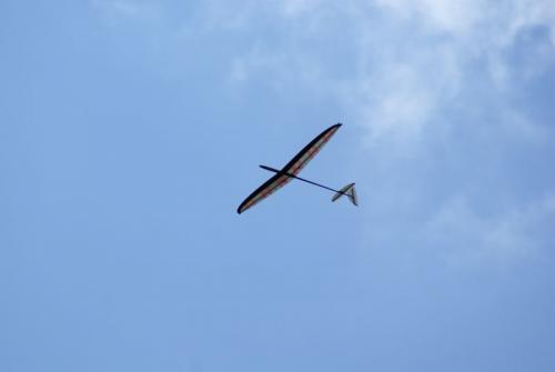 SONY DSC