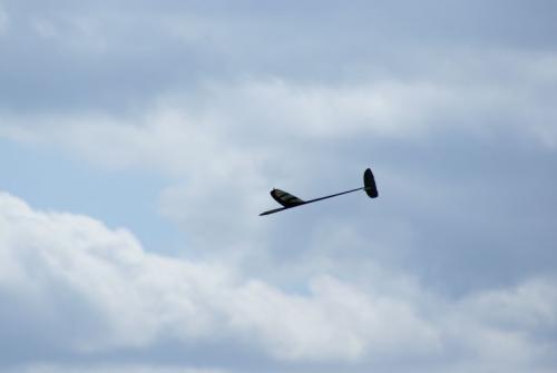 SONY DSC