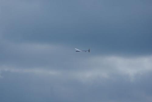 SONY DSC