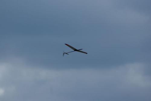 SONY DSC
