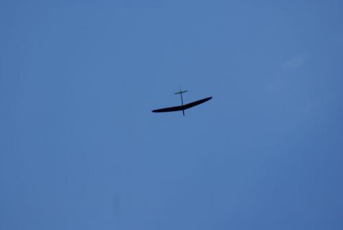SONY DSC