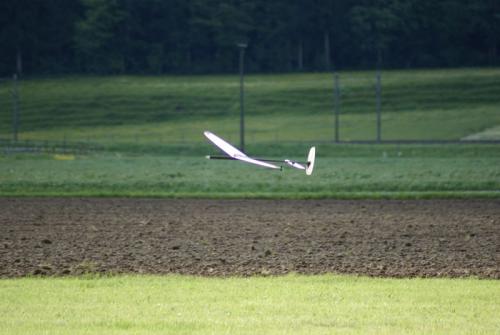 SONY DSC