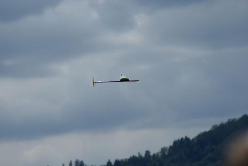 SONY DSC