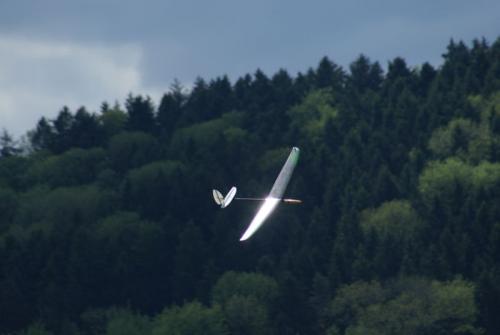 SONY DSC