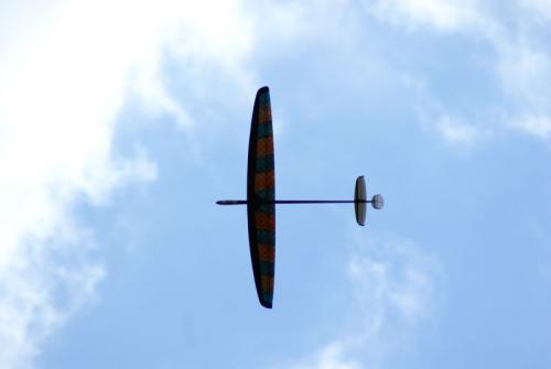 SONY DSC