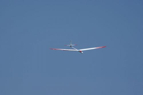 SONY DSC