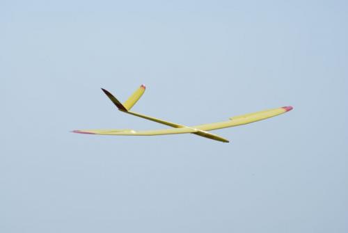 SONY DSC