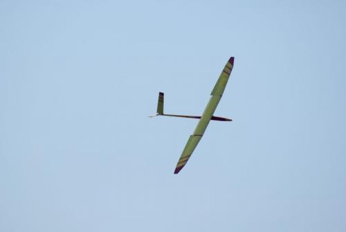 SONY DSC