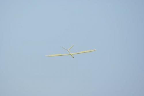 SONY DSC