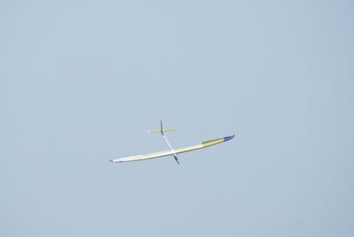 SONY DSC