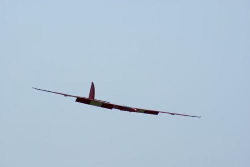 SONY DSC