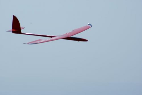 SONY DSC
