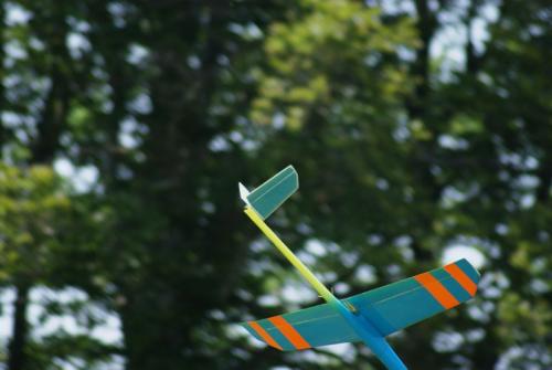 SONY DSC