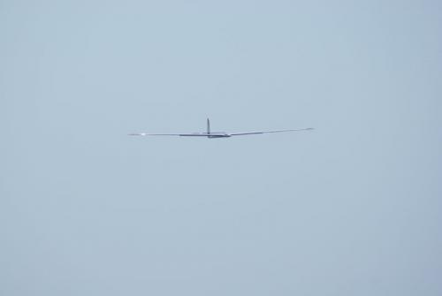 SONY DSC