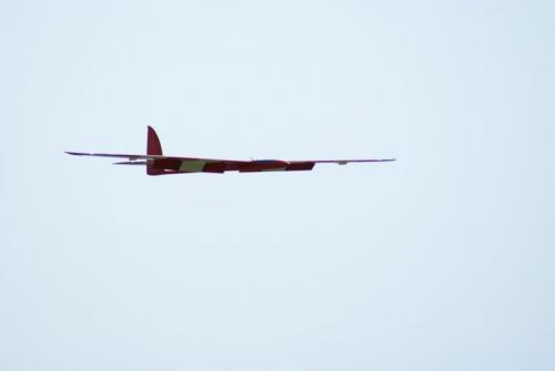SONY DSC
