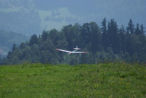 SONY DSC