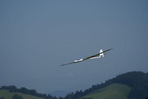 SONY DSC